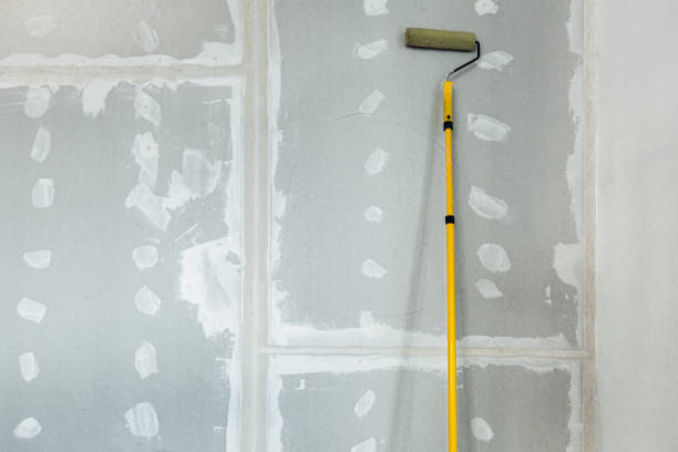 Best Mold Damage Restoration  in Milton Freewater, OR