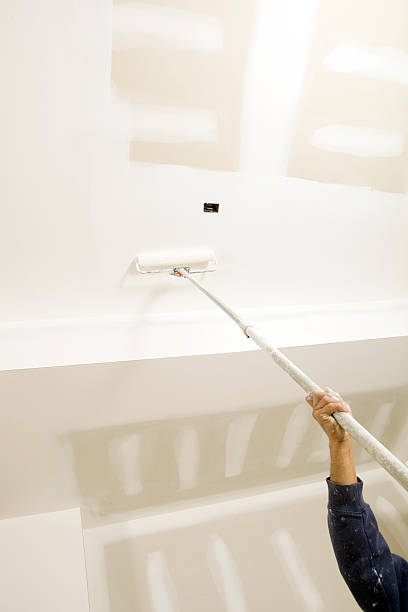 Best Black Mold Removal  in Milton Freewater, OR