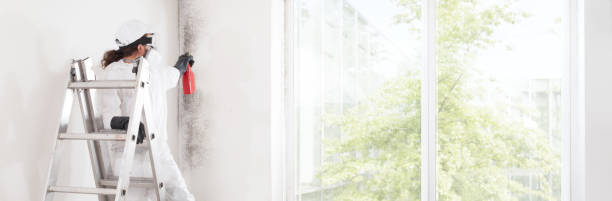 Best Industrial Mold Remediation  in Milton Freewater, OR