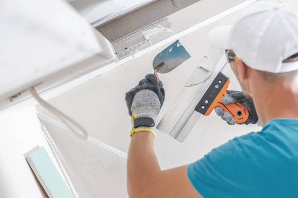 Best Attic Mold Removal  in Milton Freewater, OR